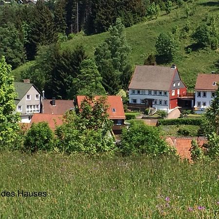 Am Muehlenberg Apartment Altenau  Exterior photo